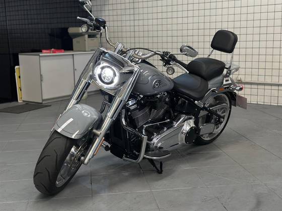 HARLEY-DAVIDSON SOFTAIL FAT BOY 117 
